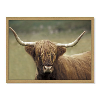 Frederic "Highland Afternoon" Print