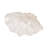 Bequette Resin Polyresin Coastal Decorative Clam Shell Bowl with Sculptural Wavy Rim - Elegant Modern Accent Bowl for Display or Storage - Stylish Textured Centerpiece for Home Decor-127047623