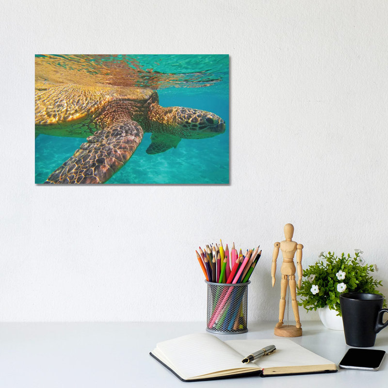 Under The Surface by Brian Wolf - Wrapped Canvas Gallery-Wrapped Canvas Giclée, 20.32cm H x 30.48cm W