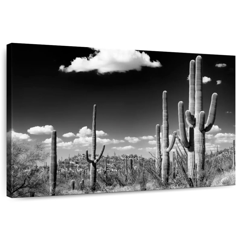 Harnek Saguaro Cactus Desert, H 26 po x l 39 po