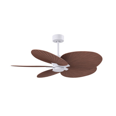 Alessandra - Ventilateur de plafond à cinq pales