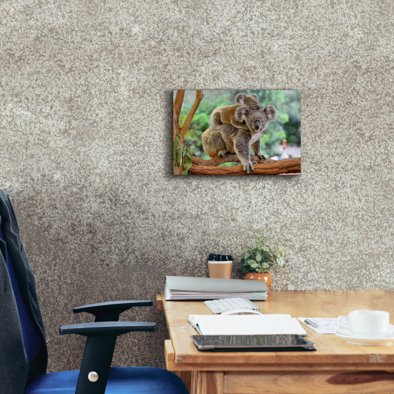 Koala ', art mural sur toile, H 12 po x l 18 po x P 0,75 po