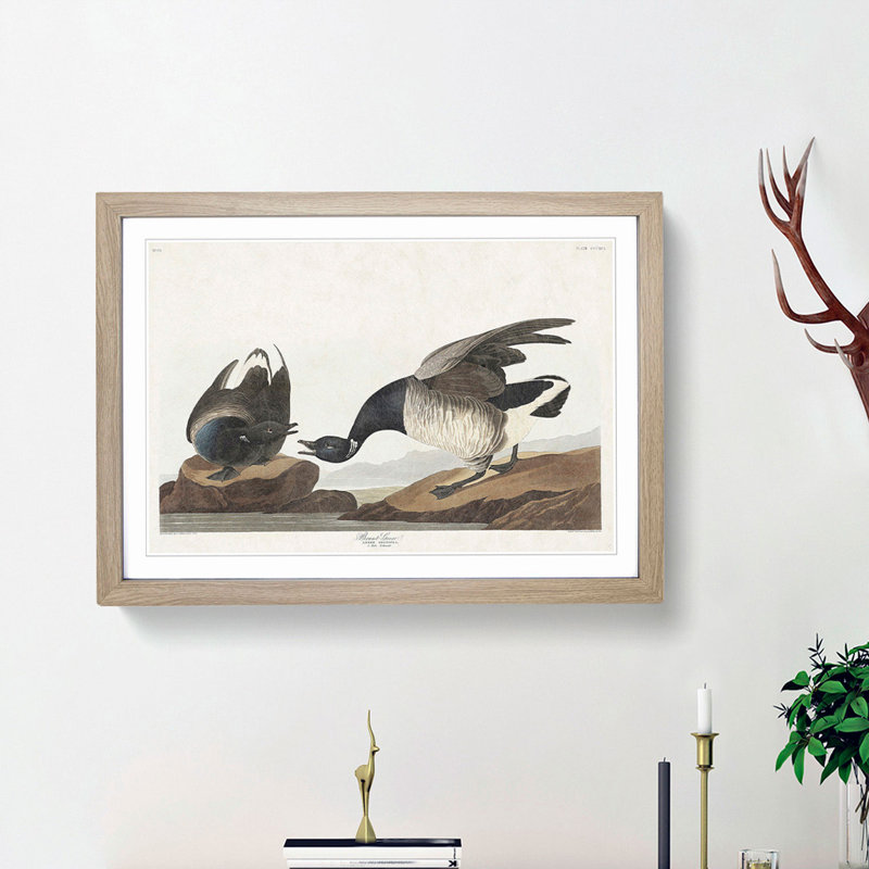 Brant Geese by John Audubon - Picture Frame Painting Print, 36cm H x 48cm W x 2cm D, Oak Framed