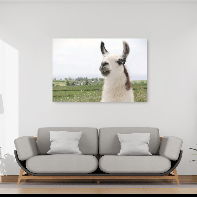 Alpaga pasture, portrait, paysage contemporain contemporain, art mural, 40" H x 60" W