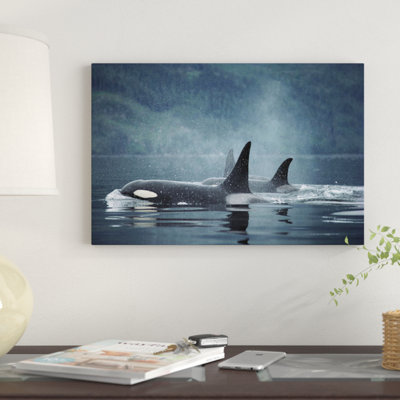 «Orca Group Surfaces, Johnstone Strait, British Columbia, Canada», reproduction de photo sur toile