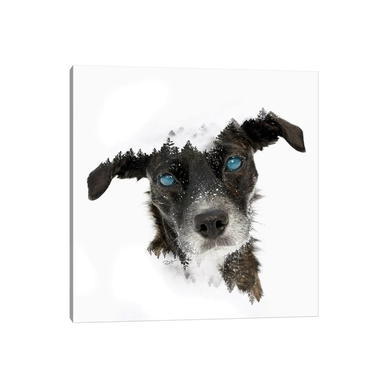 Dog 1 Piece Wall Art on Canvas, 30.48 cm H x 30.48 cm W, Wrapped Canvas