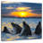 Brampt Grand Cayman Dolphins-109377339