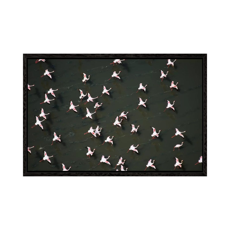 Lesser Flamingo Flock Taking Flight From The Surface Of A Lake, Kenya II by Tim Fitzharris - Gallery-Wrapped Canvas Giclée on Canvas