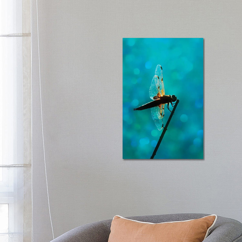 Dragonfly - Wrapped Canvas Print, 66.04 cm H x 45.72 cm W x 3.175 cm D