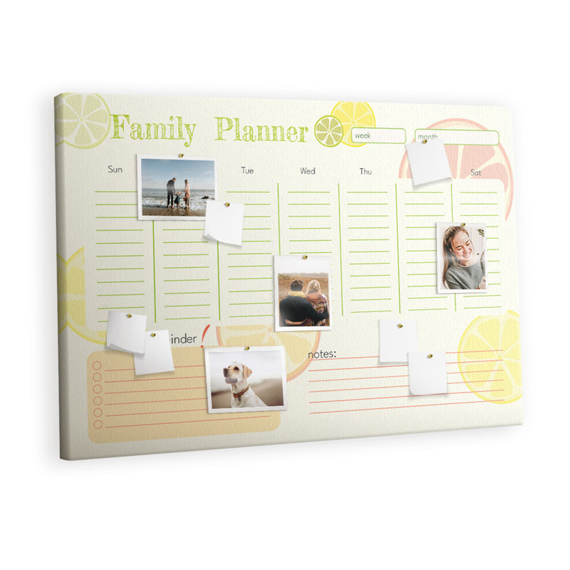 Marielos Cork Corkboard / Bulletin Board