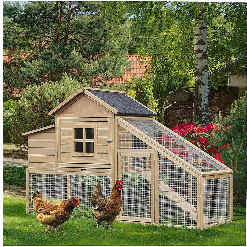 Poulailler en bois 69 po PawHut, poulailler en cage avec rampe de connexion, plateau amovible, fenêtre ventilée et nichoir, naturel