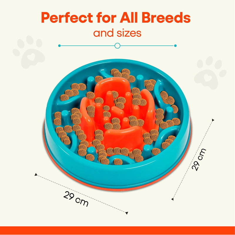 Quian Slow Feeder