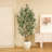 8ft Artificial Ficus Tree with White Tall Planter, Faux Ficus Tree with Natural Trunk