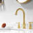 Widespread 2-handle Bathroom Faucet with Drain Assembly-86794404