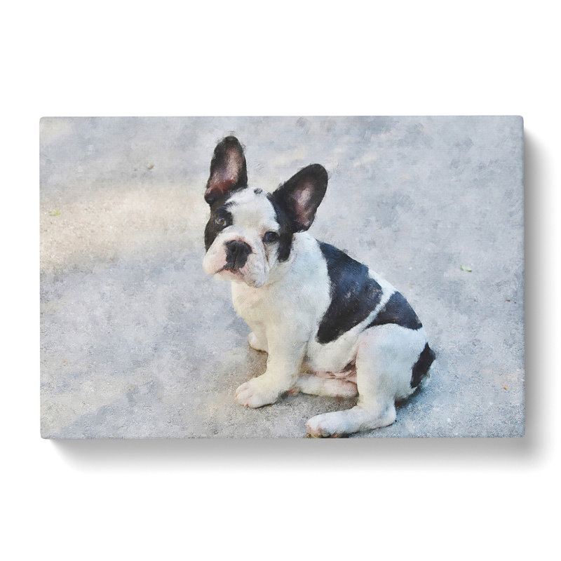 French Bulldog Vol.3 - Wrapped Canvas, 40cm H x 60cm W x 3cm D