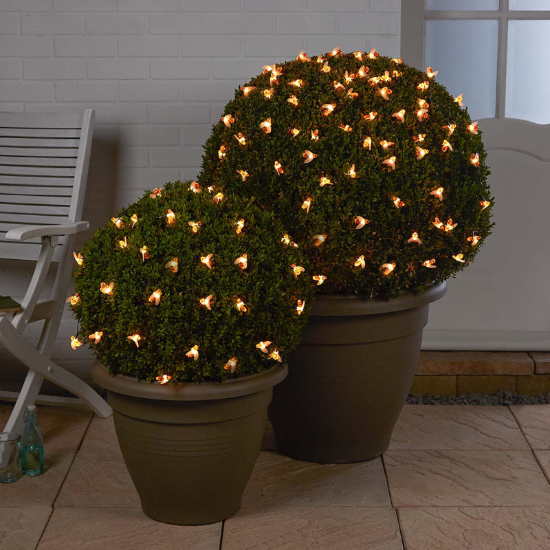 Tackett LED Solar Powered Fairy String Light, Warm White, 5M