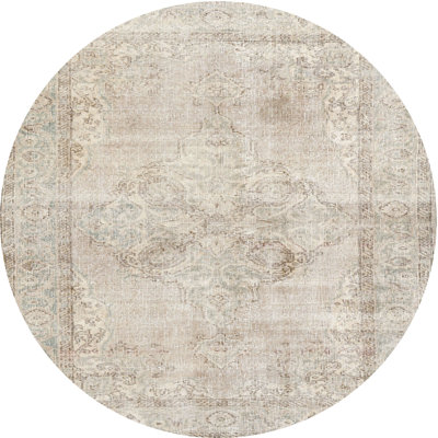 Akeeb Oriental Indoor Rug