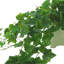 Oakes Faux Ivy Plant in Ceramic Pot