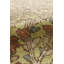 Agra Hand Knotted Wool Oriental Area Rug