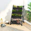 Jardinières surélevées verticales à 4 niveaux Kushmita-202401454