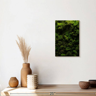 " Thick Moss "