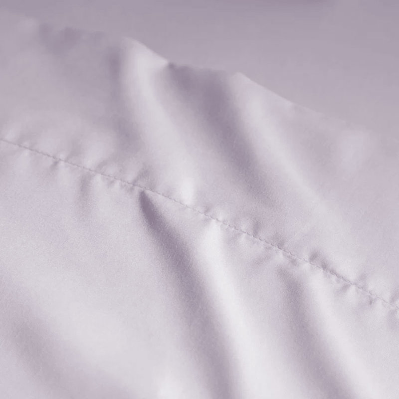 Wayfair Basics® 1800 Series Soft Microfiber Sheet Set, Queen Sheet Set with 2 Pillowcases, Lavender