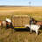 2-In-1 Metal Hay Feeder