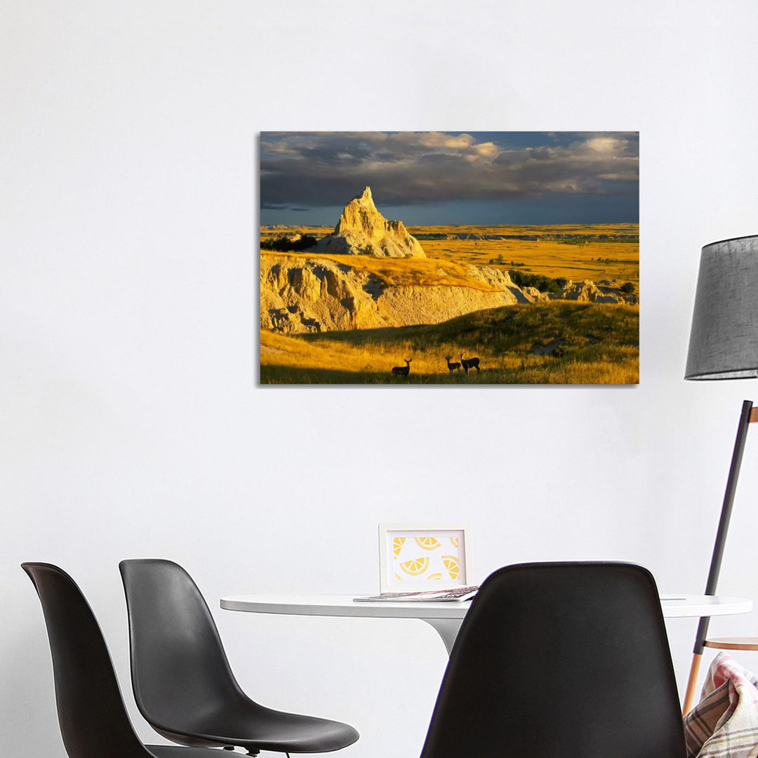 Mule Deer Trio In The Grasslands Of Badlands National Park, South Dakota von Tim Fitzharris - Gallery-Wrapped Canvas Gic...