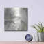 Fleurs grises et argentées I 'de Chris Paschke, 36 po x 36 po-1966722449