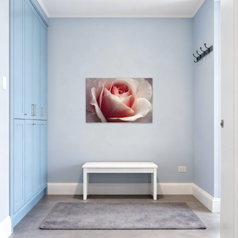 Plantes et fleurs doux rose pétale de rose gros plan Z25122408424094450, H 20 po x l 30 po