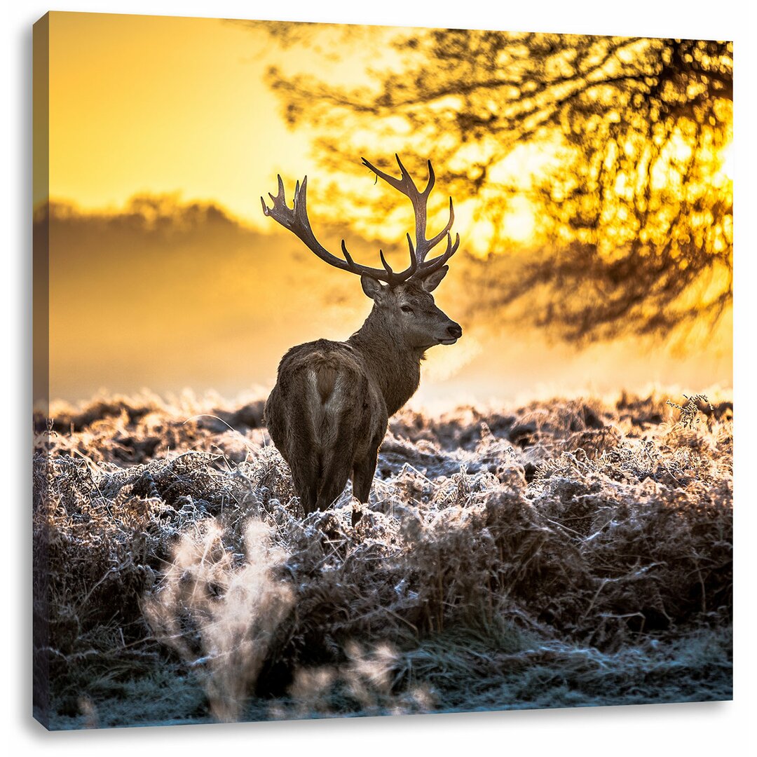 Leinwandbild Hirsche im Wald