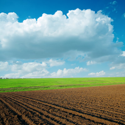 Agriculrural Fields by Mycola - Wrapped Canvas Print