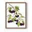 Watercolor Cherries, reproduction encadrée - bois massif-93066171-93066162