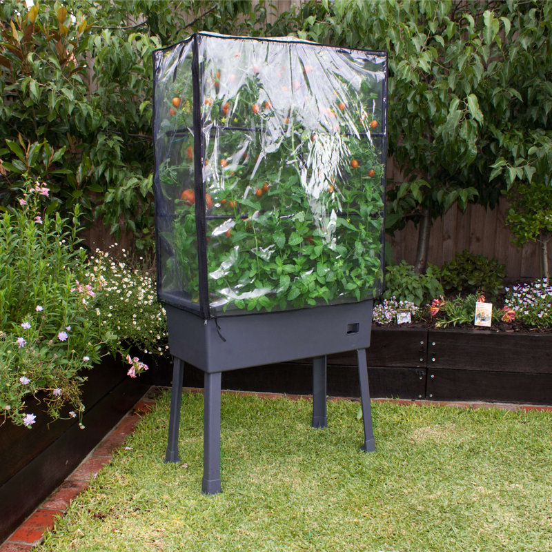 Terrarium, 63" H x 31.5" W x 15.75" D
