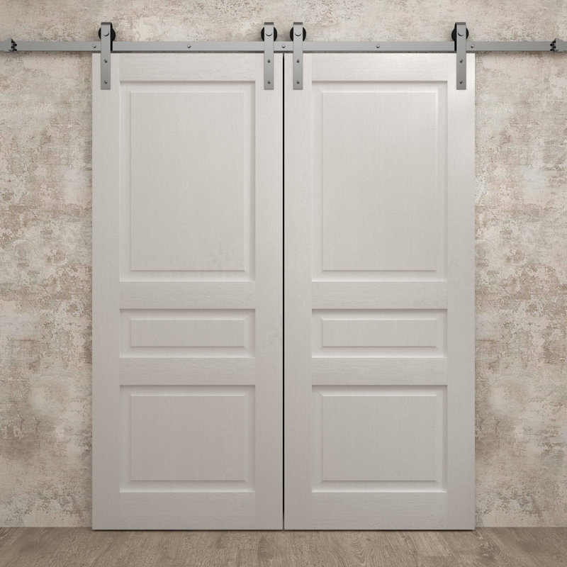 Porte de grange double moderne | Ego 5012 | Ensemble de rail argenté | Portes intérieures solides, 72 po x 96 po