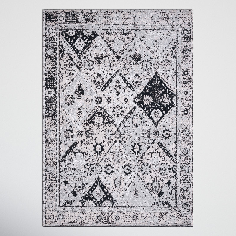 Hundt Southwestern Area Rug in Gray/White, Rectangle 2' x 3'4"