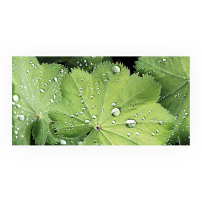 Rieger 45cm W x 90cm L Metal Peel and Stick Panel