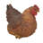 Animals Weather Resistant Water Resistant UV Resistant Polyresin Garden Statue