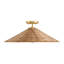Lilliana 1-Light Ceiling Light in Natural Brass-161101696