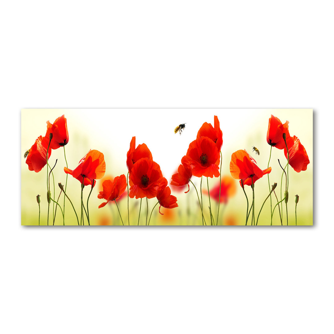 Leinwandbild Red Poppies Bee Floral