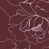 Flower Sketch Floral Wallpaper by Jamie Graney