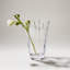 Anemone Vase, Medium-71179468