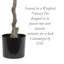 Olive artificielle en pot-748669067