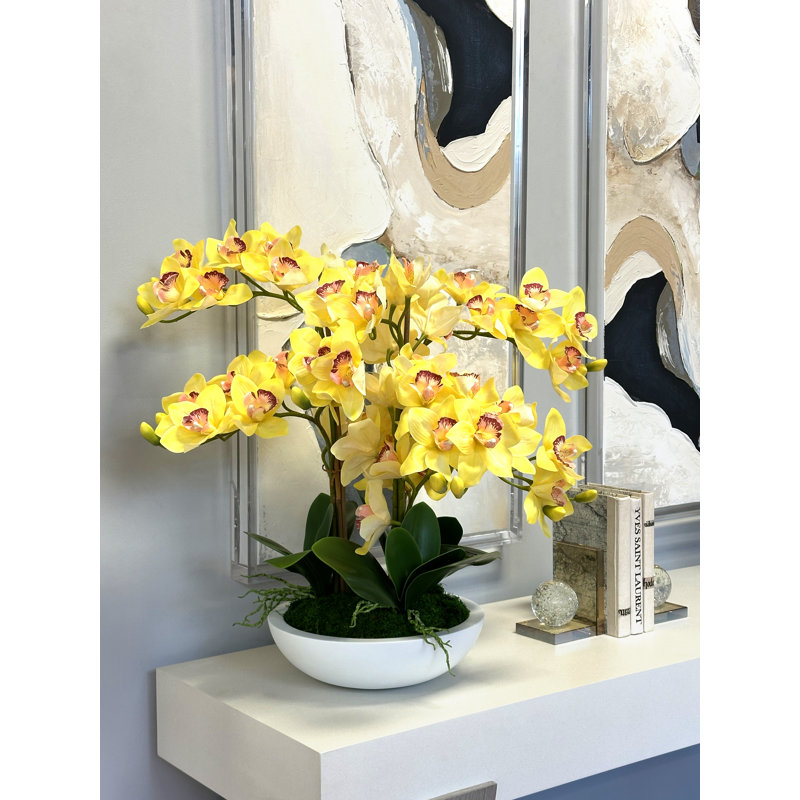 Orchids Arranged in Fiberstone Planter, Yellow