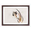 Iris Flower by Shibata Zeshin - Framed Print-55576364-55576366