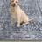 Kugler Oriental Machine Washable Blue/Denim Area Rug-1233866912