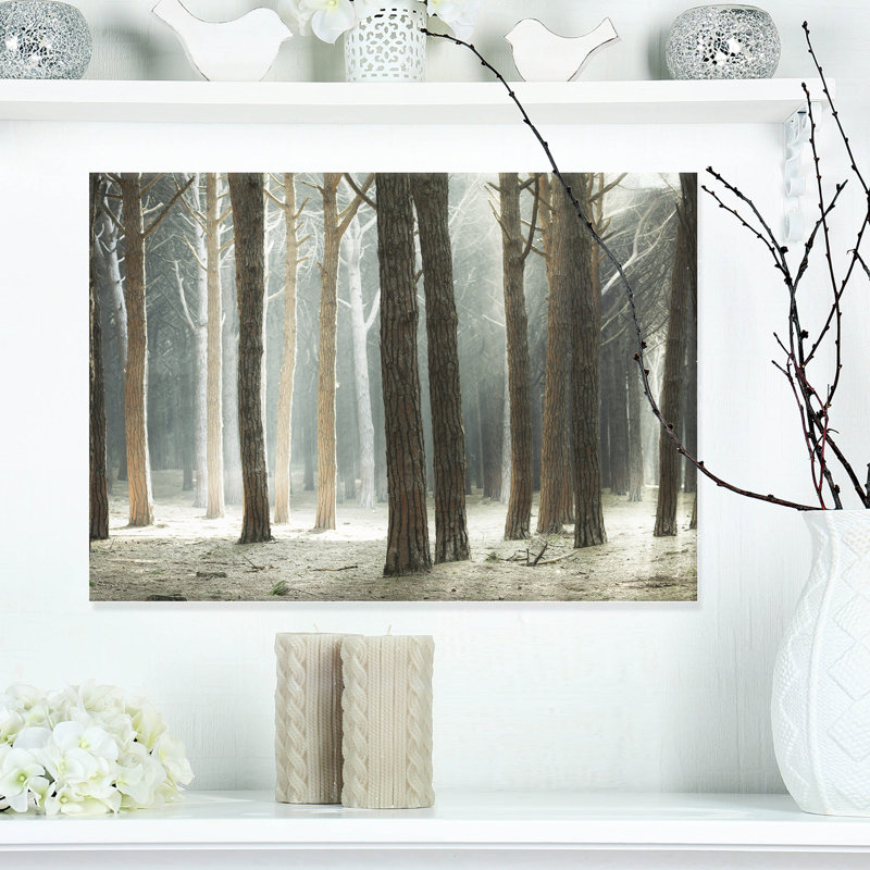Design Art Maritime Pine Tree Forest with Rays Photographic Print on Wrapped Canvas