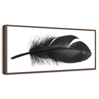 Plume foncée