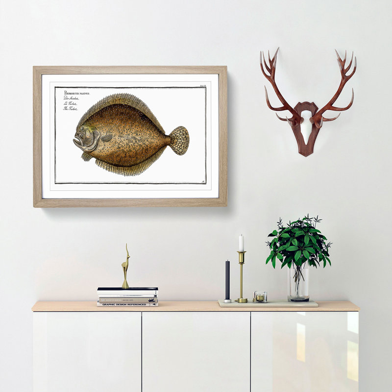 Turbot Fish by M.E. Bloch - Framed Print, 27cm H x 36cm W x 2cm D, Oak Framed