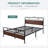 Aveana Platform Bed-1504581938-1504581934